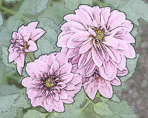 lightdahlia-watercolor.jpg (126175 bytes)