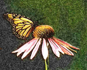 art--200soft.jpg (237771 bytes)