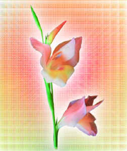 digitalflowerbold.jpg (86004 bytes)