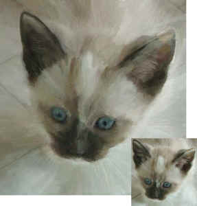 kitten-painted.jpg (68050 bytes)