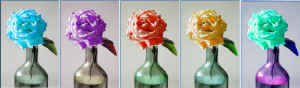 rainbowroses.jpg (101887 bytes)